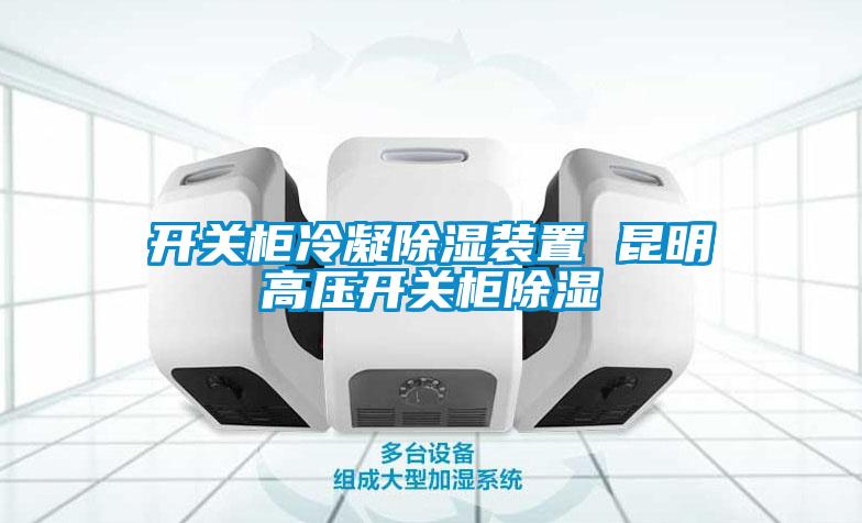 开关柜冷凝除湿装置 昆明高压开关柜除湿