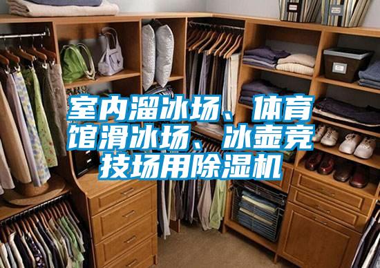 室内溜冰场、体育馆滑冰场、冰壶竞技场用除湿机