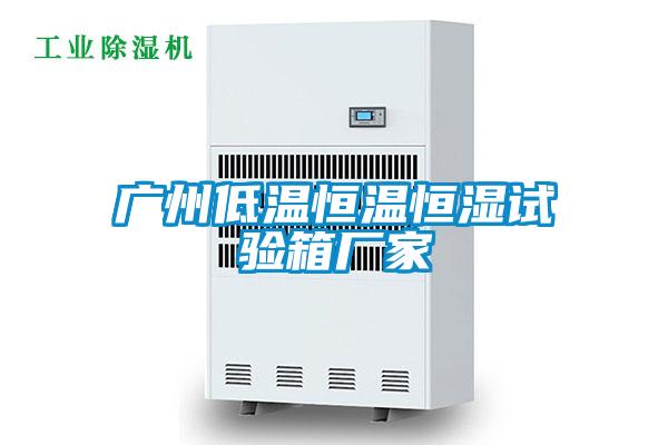 广州低温恒温恒湿试验箱厂家