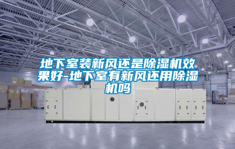 地下室装新风还是除湿机效果好-地下室有新风还用除湿机吗