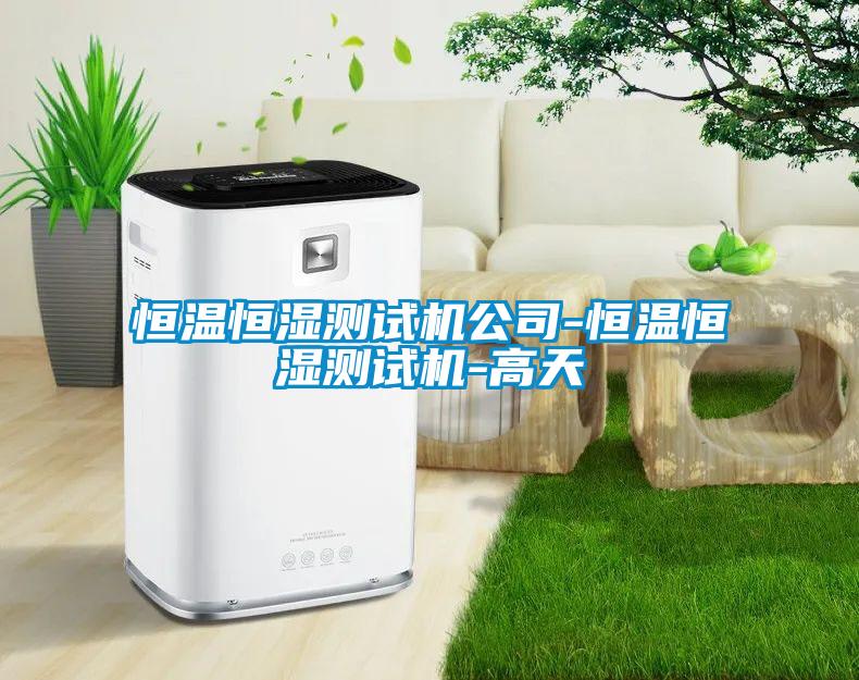 恒温恒湿测试机公司-恒温恒湿测试机-高天