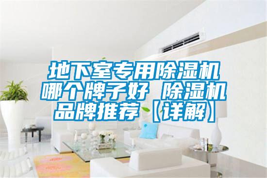 地下室专用除湿机哪个牌子好 除湿机品牌推荐【详解】