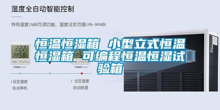 恒温恒湿箱 小型立式恒温恒湿箱 可编程恒温恒湿试验箱