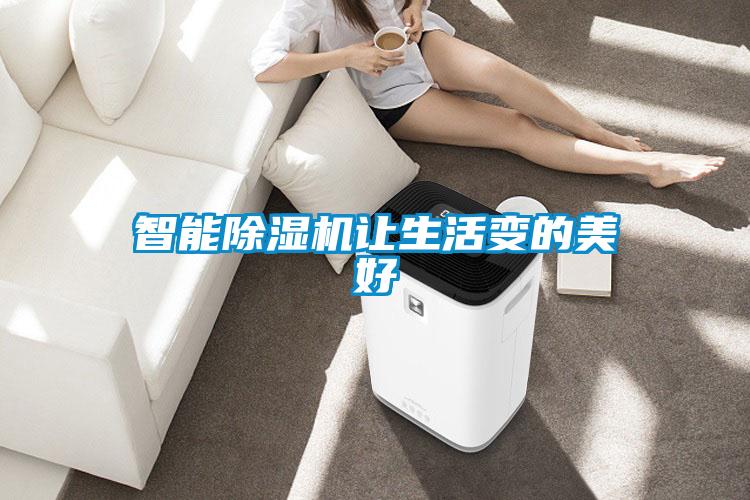 智能除湿机让生活变的美好