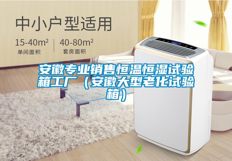 安徽专业销售恒温恒湿试验箱工厂（安徽大型老化试验箱）