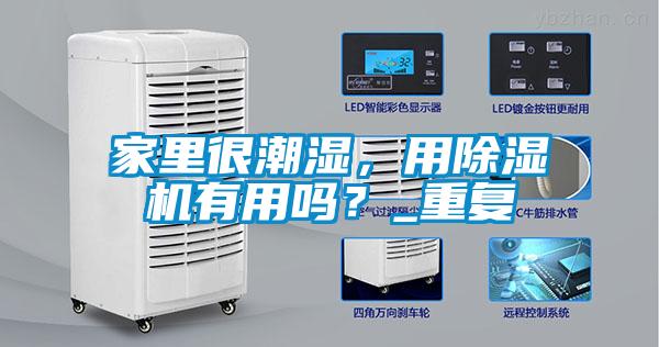 家里很潮湿，用除湿机有用吗？_重复