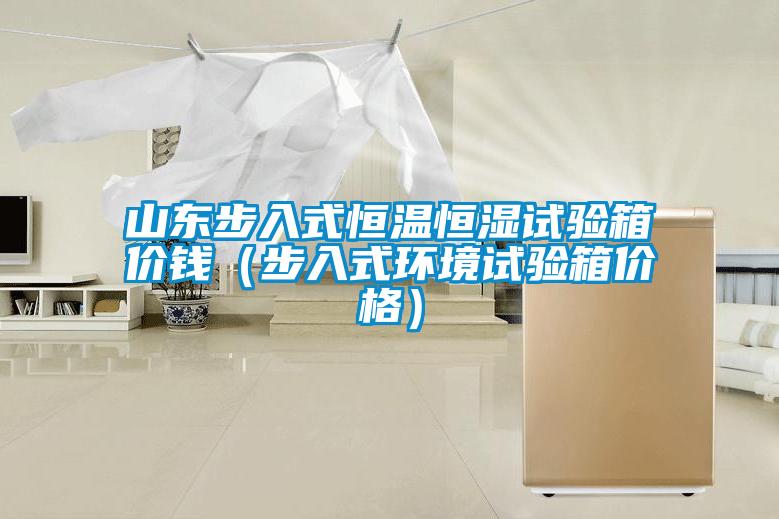 山东步入式恒温恒湿试验箱价钱（步入式环境试验箱价格）