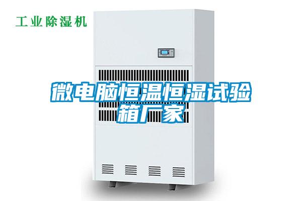微电脑恒温恒湿试验箱厂家