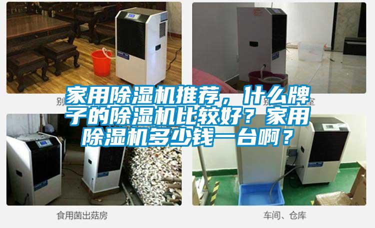 家用除湿机推荐，什么牌子的除湿机比较好？家用除湿机多少钱一台啊？