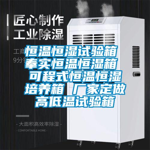 恒温恒湿试验箱 奉实恒温恒湿箱 可程式恒温恒湿培养箱 厂家定做高低温试验箱