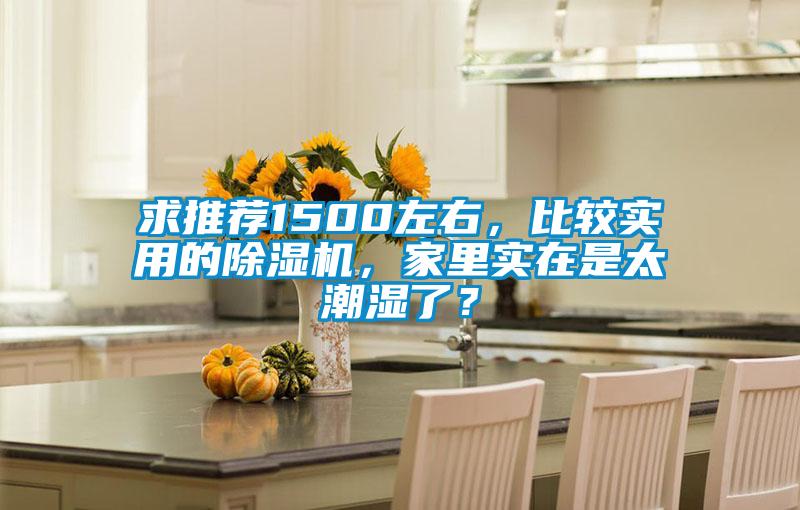 求推荐1500左右，比较实用的除湿机，家里实在是太潮湿了？