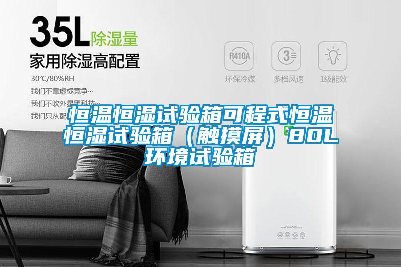 恒温恒湿试验箱可程式恒温恒湿试验箱（触摸屏）80L环境试验箱