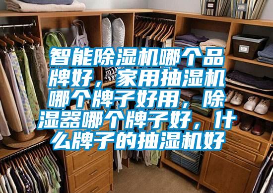 智能除湿机哪个品牌好，家用抽湿机哪个牌子好用，除湿器哪个牌子好，什么牌子的抽湿机好