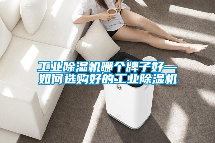 工业除湿机哪个牌子好—如何选购好的工业除湿机