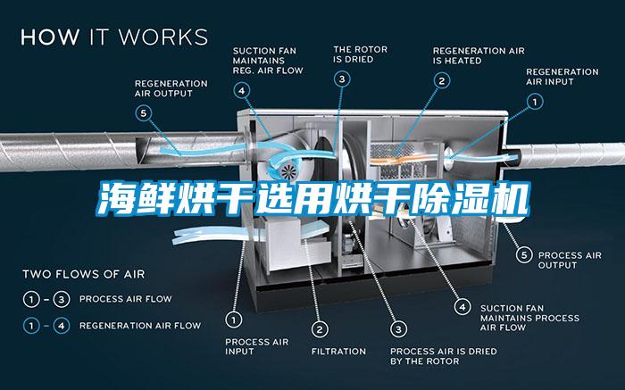 海鲜烘干选用烘干除湿机