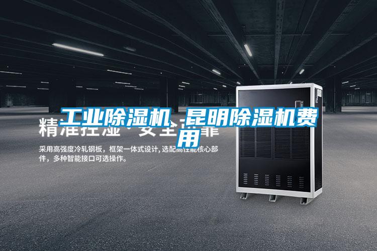 工业除湿机 昆明除湿机费用