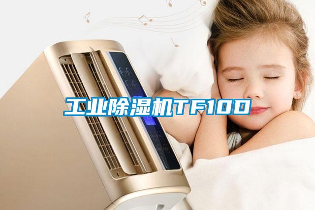 工业除湿机TF10D