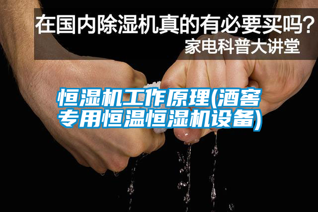 恒湿机工作原理(酒窖专用恒温恒湿机设备)