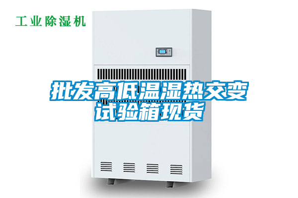 批发高低温湿热交变试验箱现货
