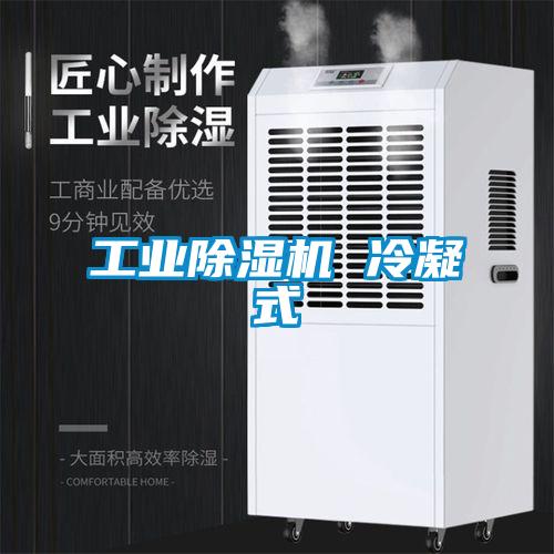工业除湿机 冷凝式