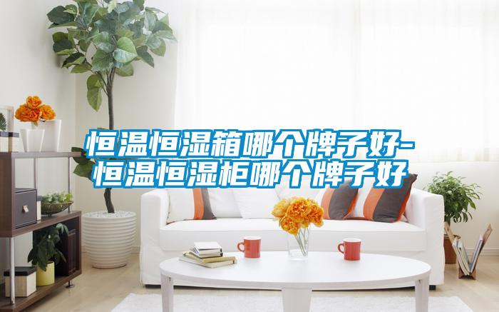 恒温恒湿箱哪个牌子好-恒温恒湿柜哪个牌子好