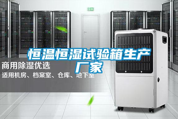 恒温恒湿试验箱生产厂家