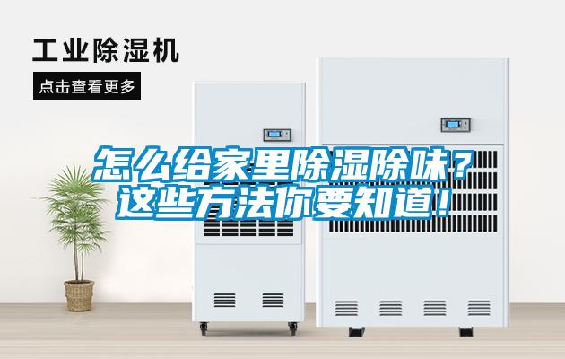 怎么给家里除湿除味？这些方法你要知道！