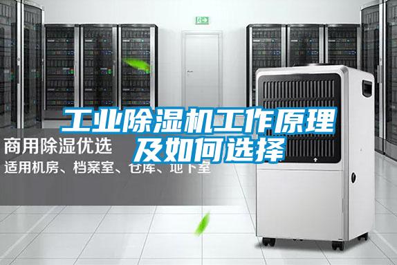工业除湿机工作原理 及如何选择