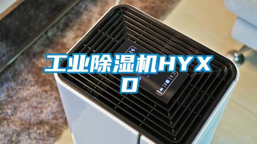 工业除湿机HYXD