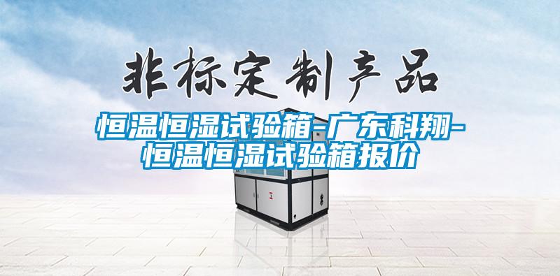 恒温恒湿试验箱-广东科翔-恒温恒湿试验箱报价
