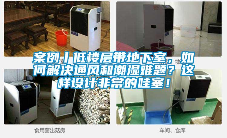 案例丨低楼层带地下室，如何解决通风和潮湿难题？这样设计非常的哇塞！