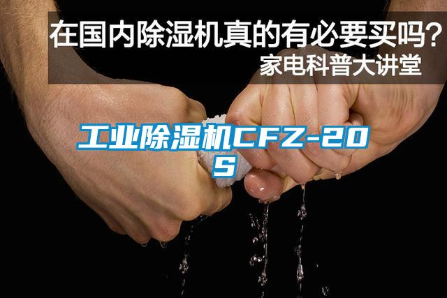 工业除湿机CFZ-20S