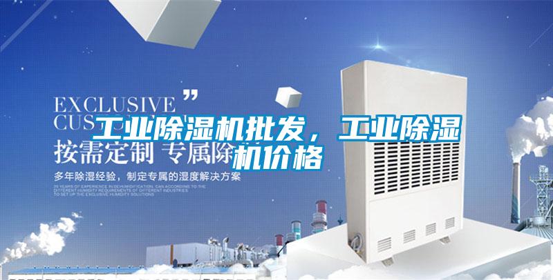 工业除湿机批发，工业除湿机价格