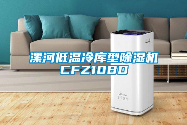 漯河低温冷库型除湿机CFZ10BD