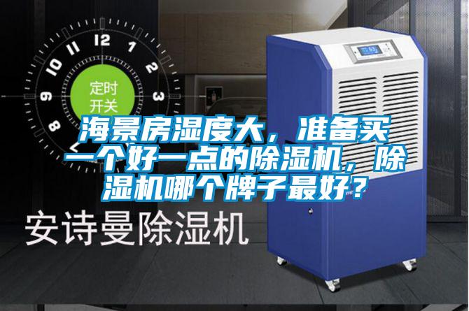 海景房湿度大，准备买一个好一点的除湿机，除湿机哪个牌子最好？