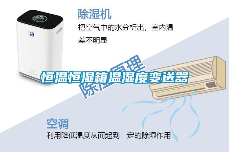 恒温恒湿箱温湿度变送器