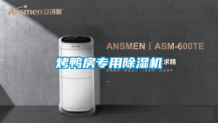 烤鸭房专用除湿机