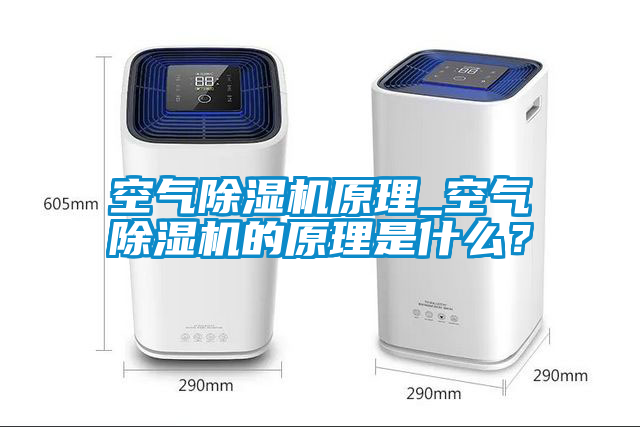 空气除湿机原理_空气除湿机的原理是什么？