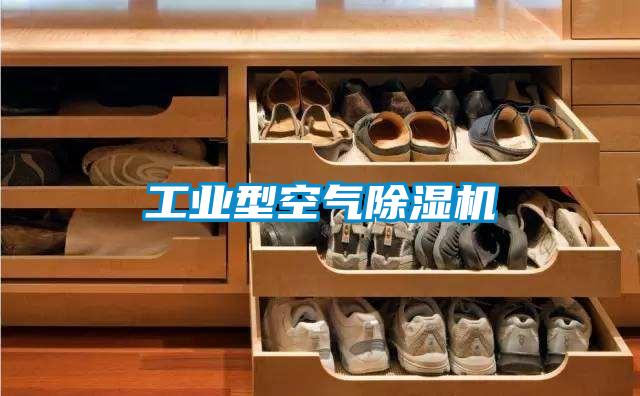 工业型空气除湿机