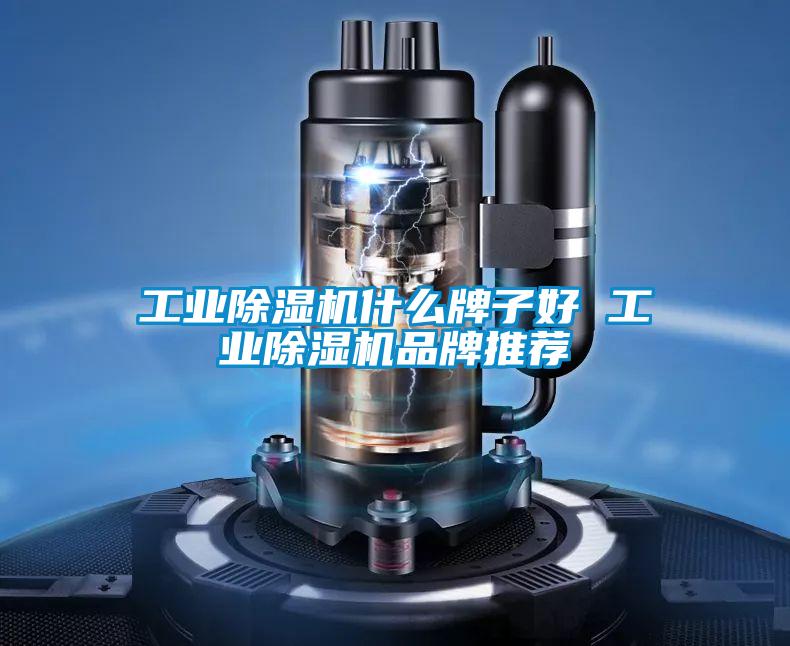 工业除湿机什么牌子好 工业除湿机品牌推荐