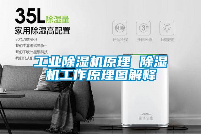 工业除湿机原理 除湿机工作原理图解释