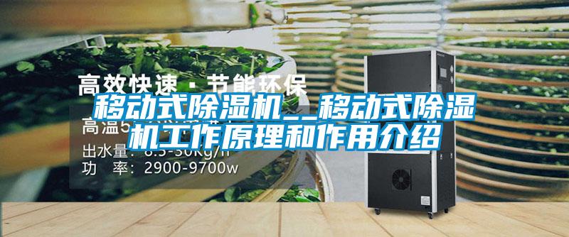 移动式除湿机__移动式除湿机工作原理和作用介绍