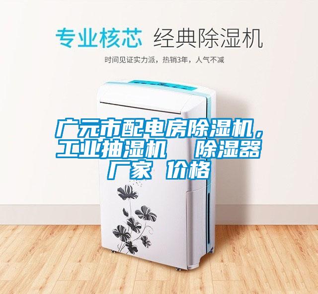 广元市配电房除湿机，工业抽湿机  除湿器厂家 价格