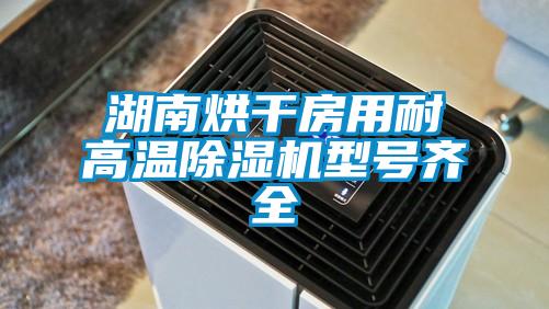 湖南烘干房用耐高温除湿机型号齐全