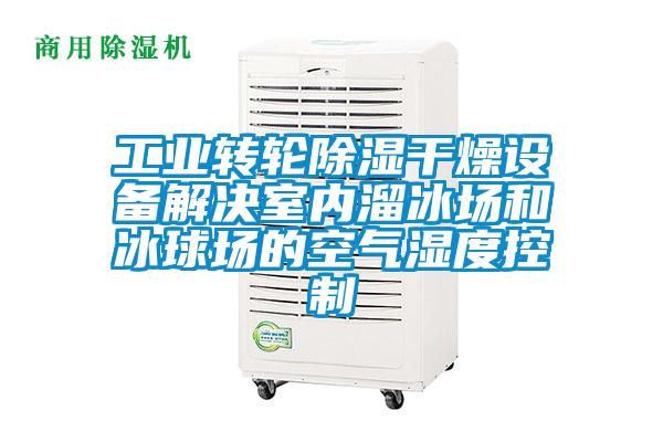 工业转轮除湿干燥设备解决室内溜冰场和冰球场的空气湿度控制