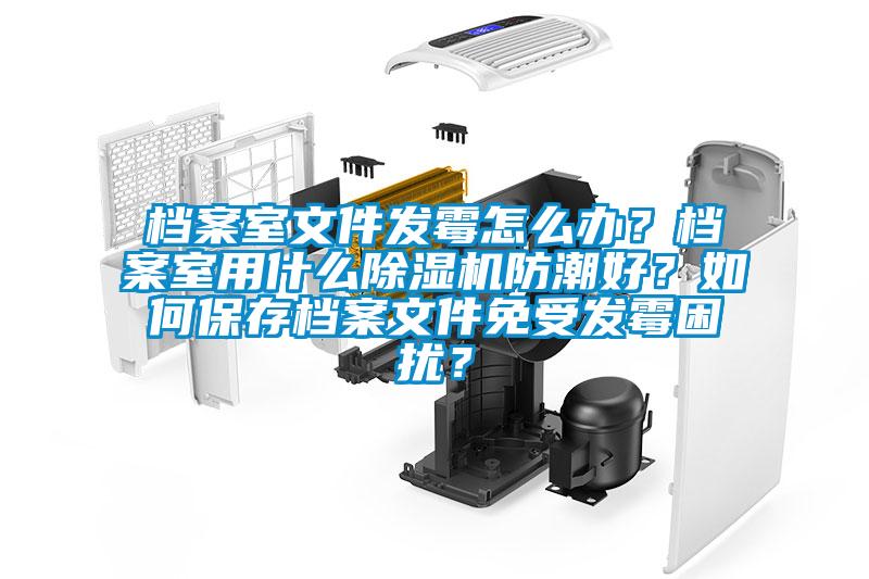 档案室文件发霉怎么办？档案室用什么除湿机防潮好？如何保存档案文件免受发霉困扰？