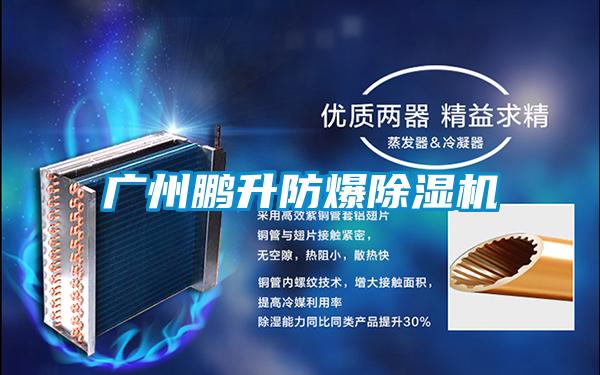 广州鹏升防爆除湿机