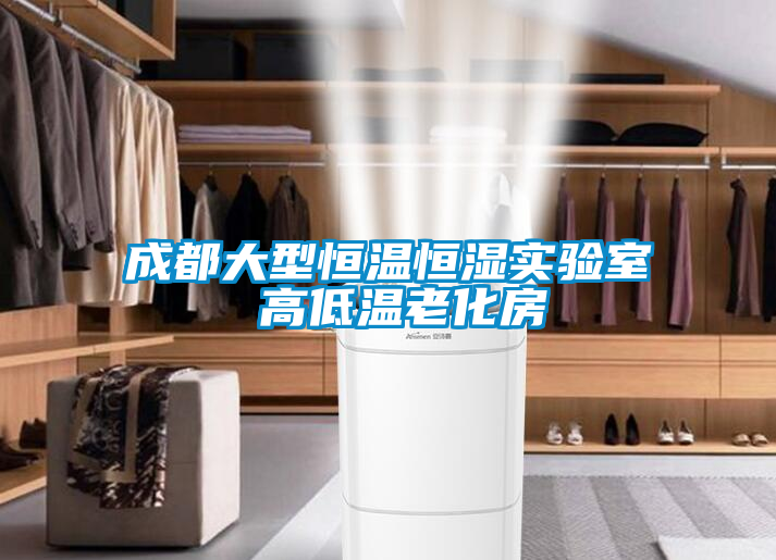 成都大型恒温恒湿实验室 高低温老化房