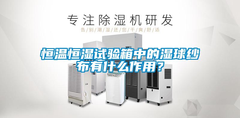 恒温恒湿试验箱中的湿球纱布有什么作用？