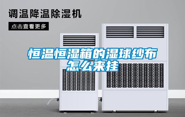 恒温恒湿箱的湿球纱布怎么来挂